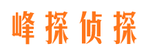 临桂市私家侦探